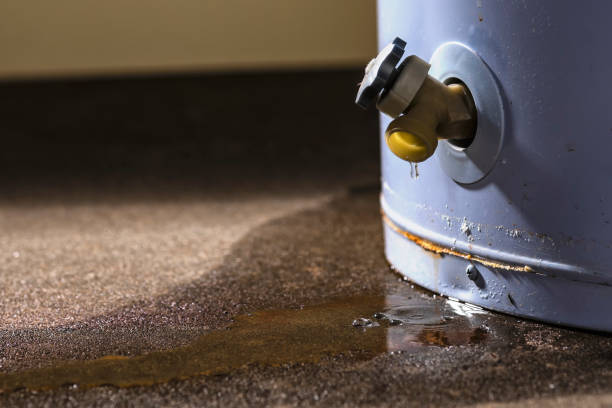 Best Water damage restoration cost  in Layhill, MD