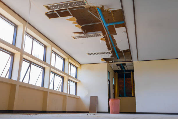 Best 24/7 water damage repair  in Layhill, MD