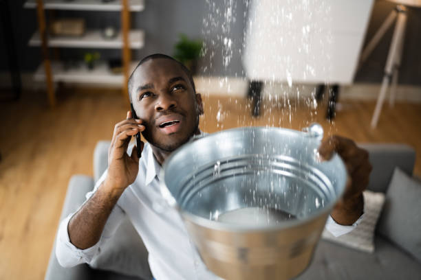 Best Flood restoration services  in Layhill, MD
