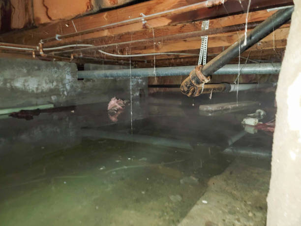 Professional Water damage restoration in Layhill, MD