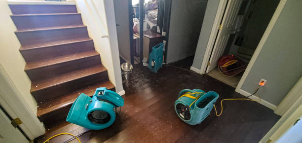 Best Emergency water damage restoration  in Layhill, MD