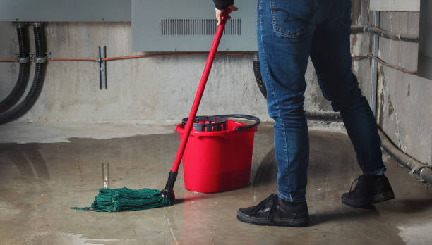 Water damage restoration insurance claims in Layhill, MD