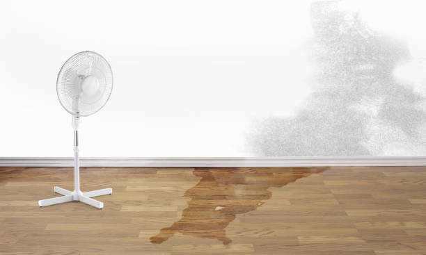 Water damage restoration experts in Layhill, MD